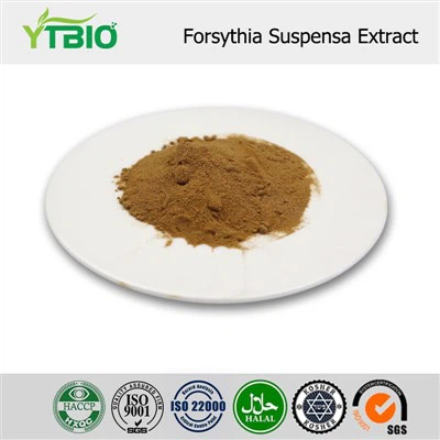 Экстракт форзиции суспенса