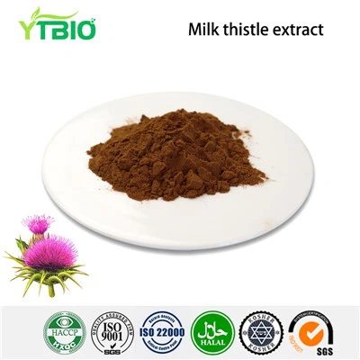 Порошок экстракта расторопши